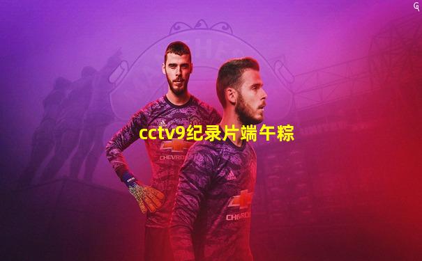 cctv9纪录片端午粽