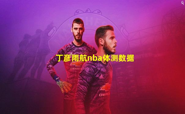 丁彦雨航nba体测数据