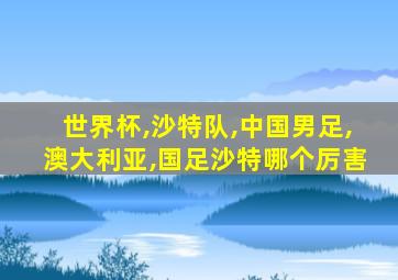 世界杯,沙特队,中国男足,澳大利亚,国足沙特哪个厉害