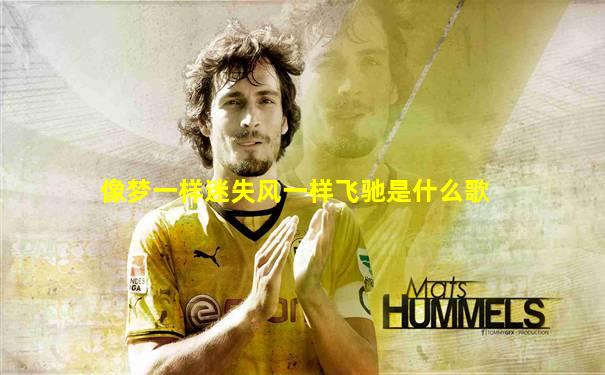像梦一样迷失风一样飞驰是什么歌