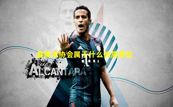 县美术协会属于什么性质单位
