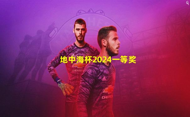 地中海杯2024一等奖