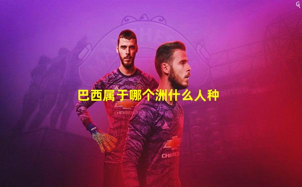 巴西属于哪个洲什么人种