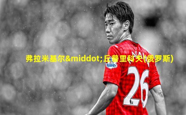 弗拉米基尔·丘普里科夫(俄罗斯)