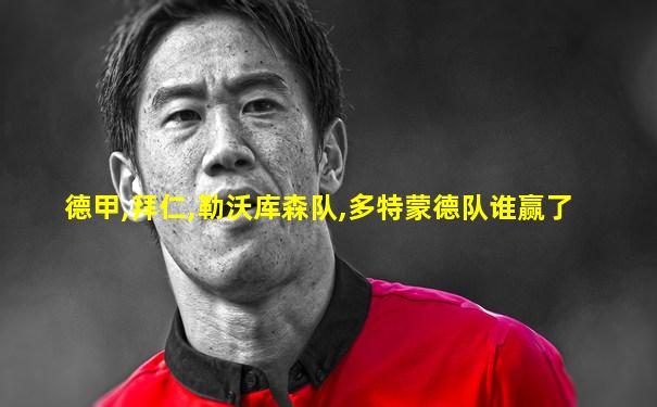 德甲,拜仁,勒沃库森队,多特蒙德队谁赢了