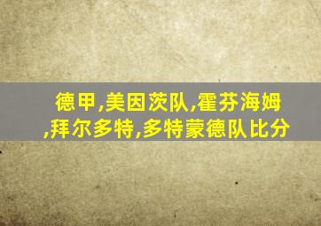 德甲,美因茨队,霍芬海姆,拜尔多特,多特蒙德队比分
