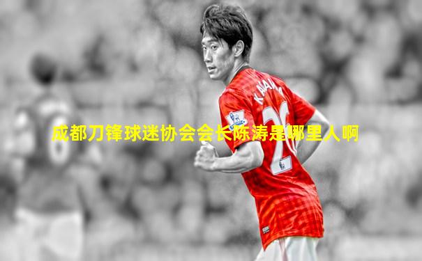 成都刀锋球迷协会会长陈涛是哪里人啊