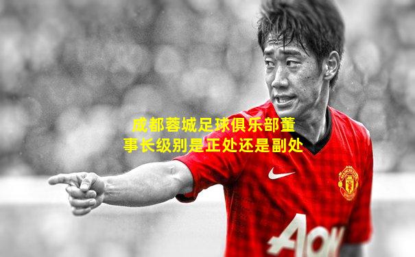 成都蓉城足球俱乐部董事长级别是正处还是副处