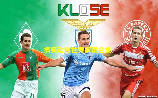 搞笑动物世界解说合集