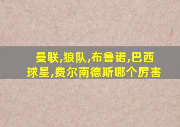 曼联,狼队,布鲁诺,巴西球星,费尔南德斯哪个厉害