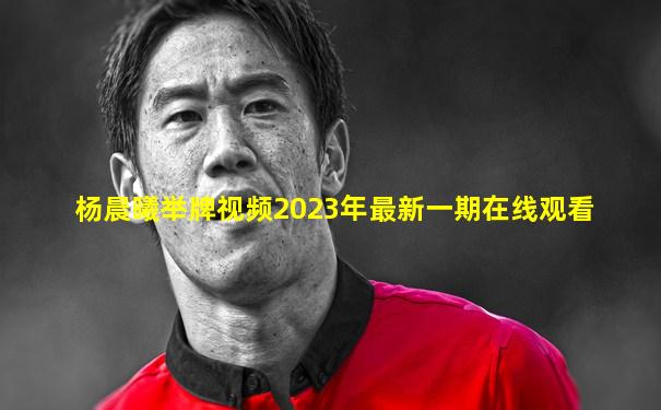杨晨曦举牌视频2023年最新一期在线观看
