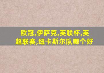 欧冠,伊萨克,英联杯,英超联赛,纽卡斯尔队哪个好