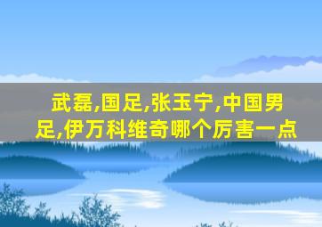 武磊,国足,张玉宁,中国男足,伊万科维奇哪个厉害一点