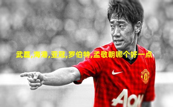 武磊,海港,亚冠,罗伯特,孟敬朝哪个好一点
