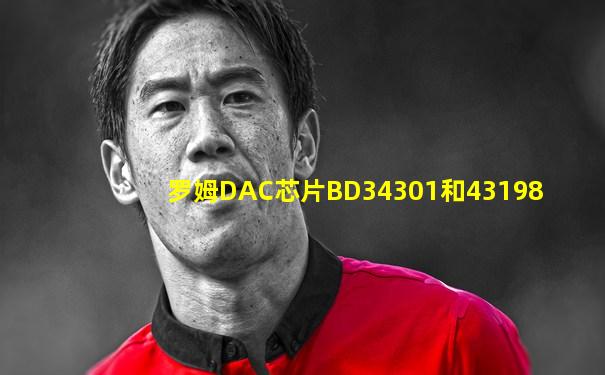 罗姆DAC芯片BD34301和43198