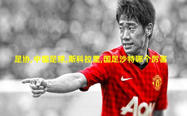 足协,中国足球,斯科拉里,国足沙特哪个厉害