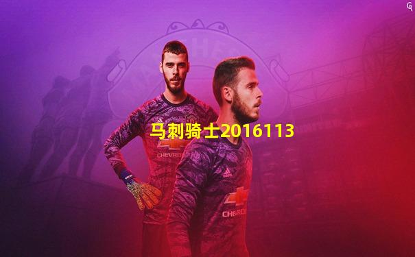 马刺骑士2016113