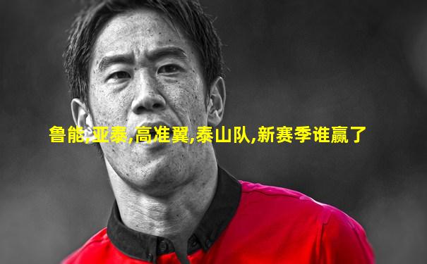 鲁能,亚泰,高准翼,泰山队,新赛季谁赢了